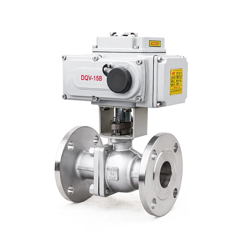 Dq Electric Stainle…