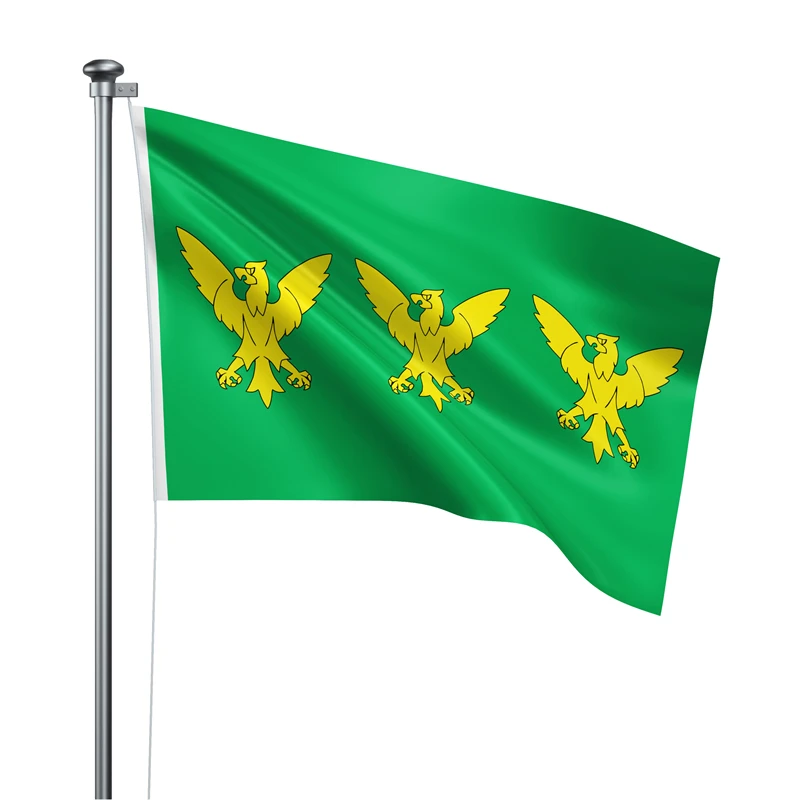 Gaslight Gatekeep Girlboss 5' x 3' Caernarvonshire Wales Flag Banner Polyester with Brass Grommets 150cm x 90cm