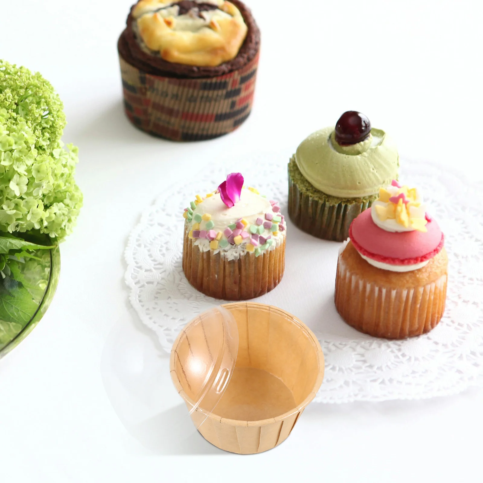 50Pcs Cake Box Container Paper Cupcake Liners Perfect for Baking Muffins Cupcakes Wedding Birthday Party Baking Cups Paper Cases