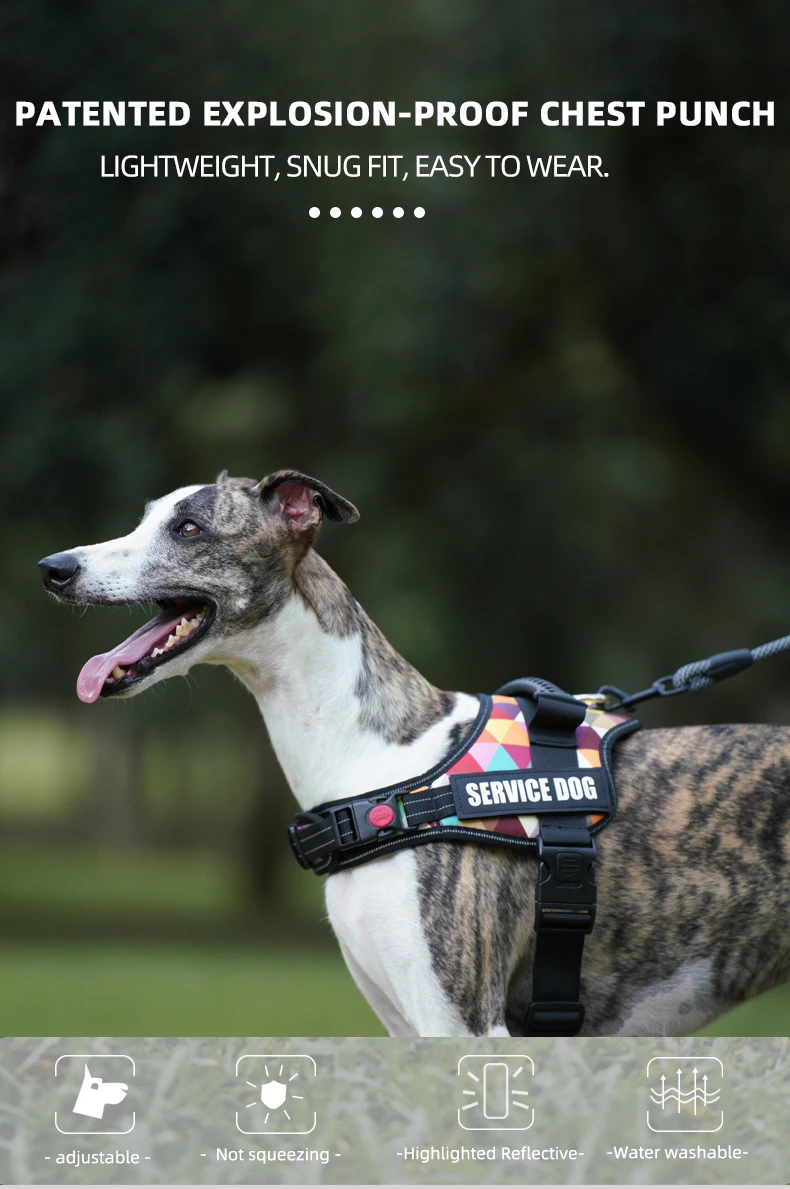 Hundegeschirr, anpassbar, personalisierte Aufnäher, Hundeweste, einfacher Kontrollgriff, verstellbare Rückseite, kleines, mittelgroßes und großes Hundehalsband – Detail 1
