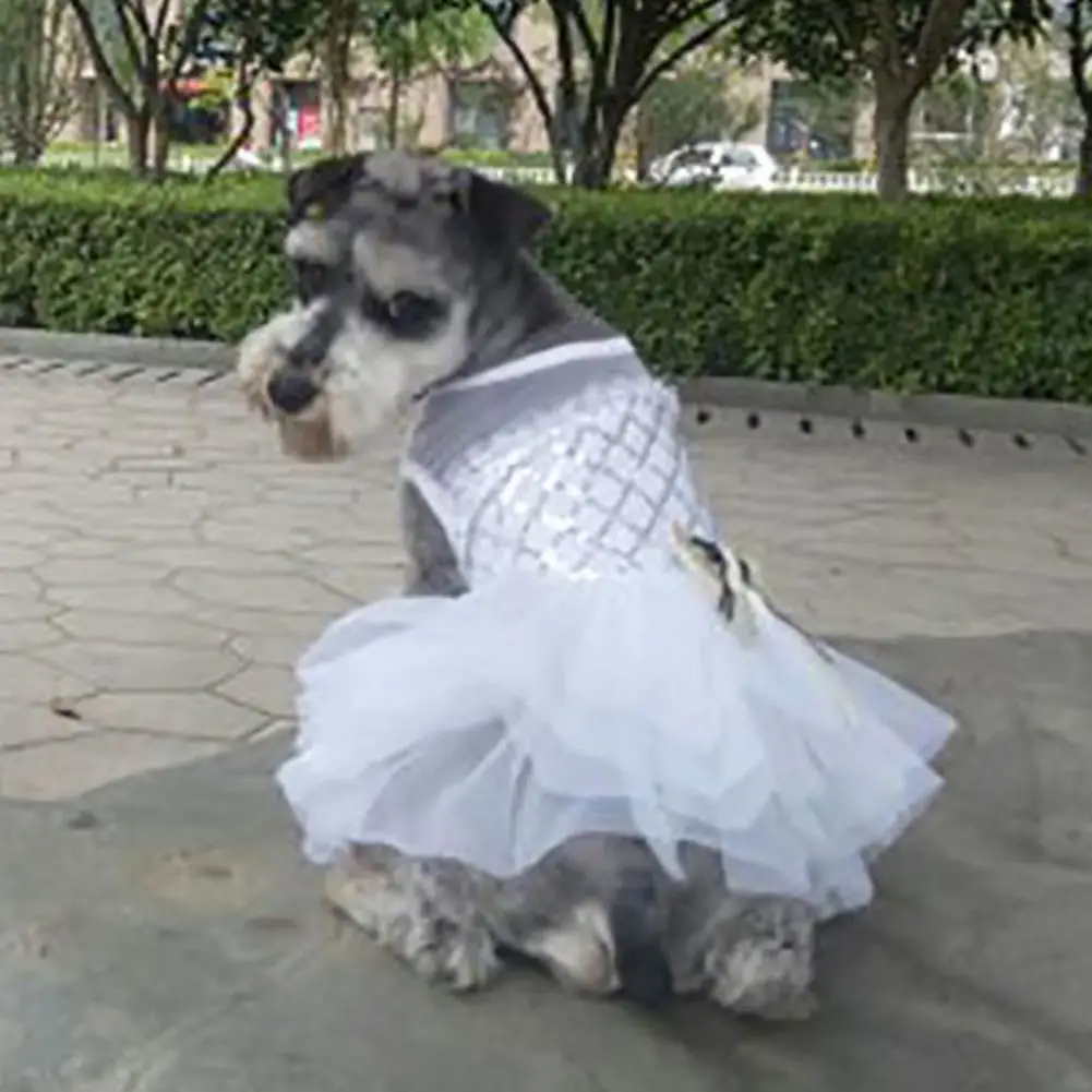 Lovely Lace Dress Girlish Exquisite Craftsmanship Costume Princess Dog Puppy Lace Dress with Sequin Design