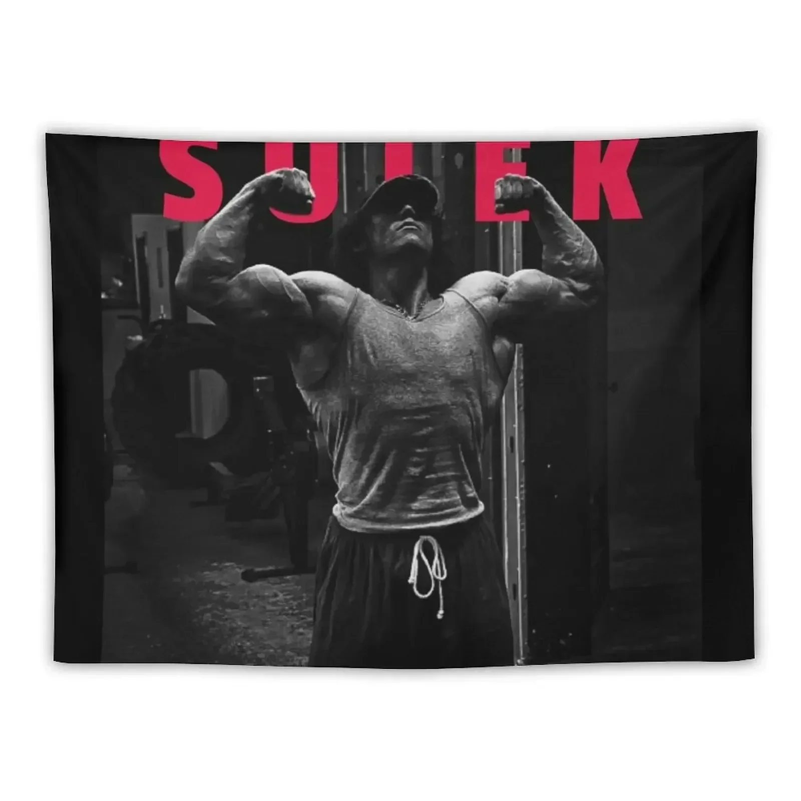 

Sam Sulek Inspiration Tapestry Decoration Aesthetic Aesthetic Room Decor House Decor Tapestry