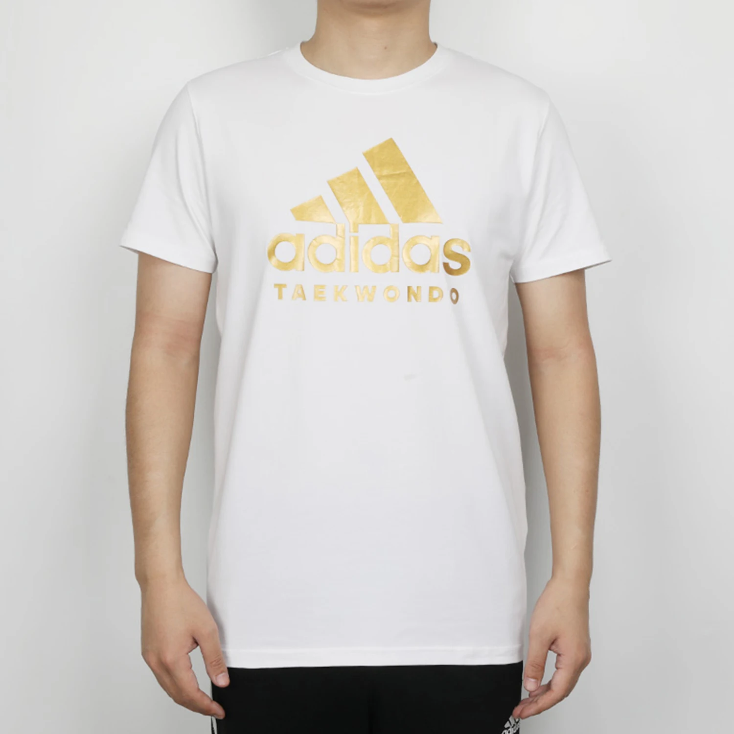 

Мужская удобная спортивная повседневная футболка adidas Authentic New Season с принтом ADICTT-WG