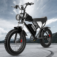 Ridstar Q20 Electric Bike, 1000W Brushless Motor, 20*4 Inch Fat Tires, 48V 20Ah Removable Battery, 30mph Max Speed