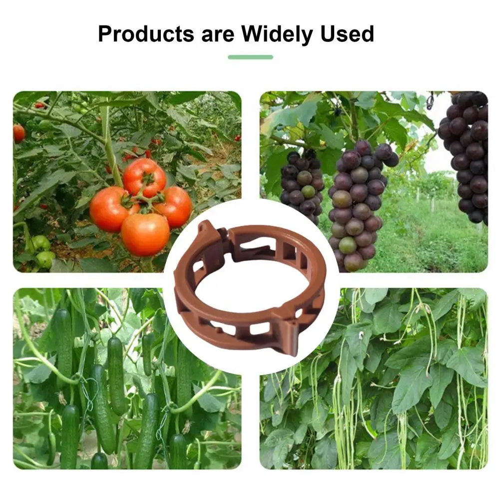 Garden Plant Holders Climbing Vine Support Clips Climbing Plant Clamps Garden Vine Support Clips Long-lasting Plastic Plant