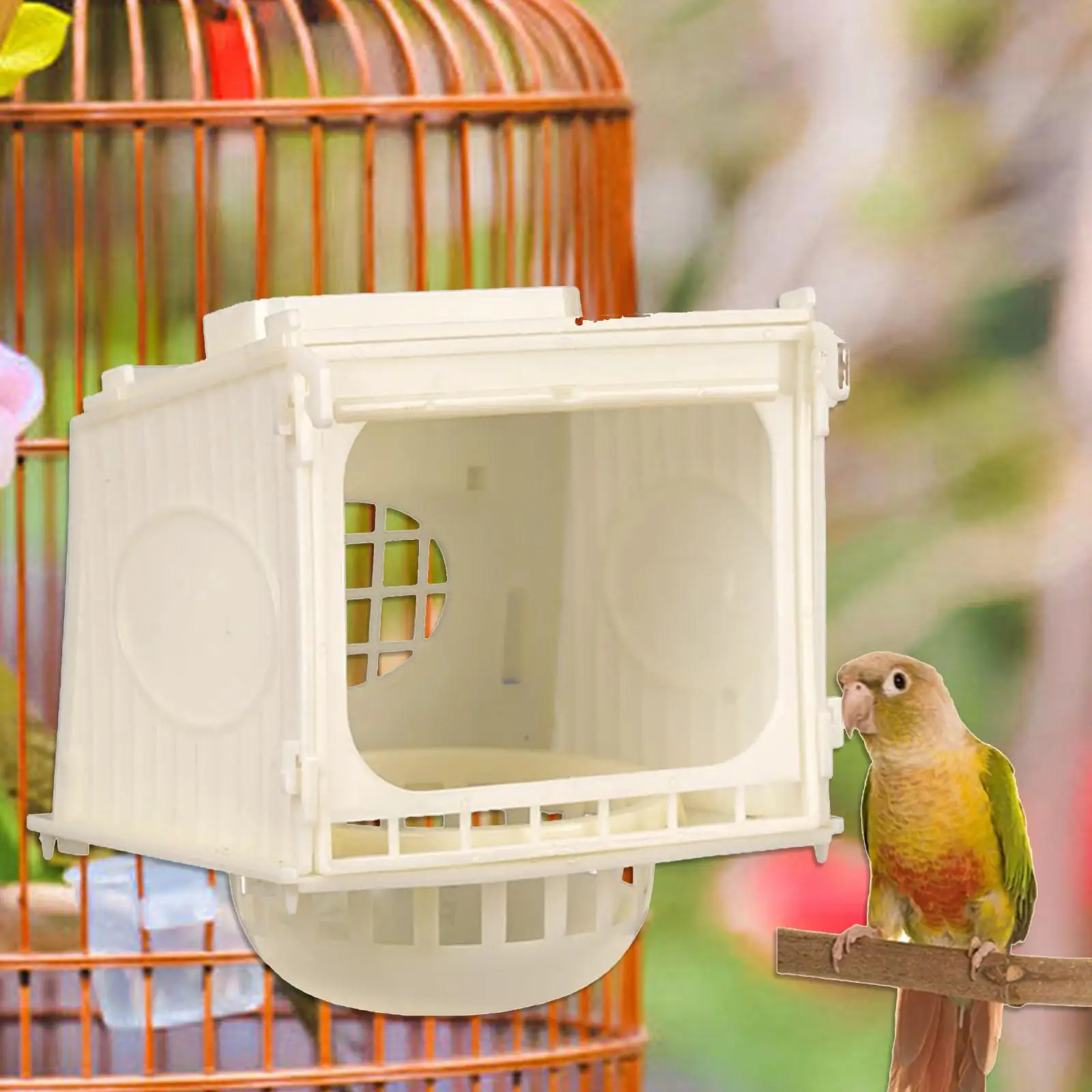 Caja de cría transparente para loros – Jaula-nido para aves pequeñas - imagen 4
