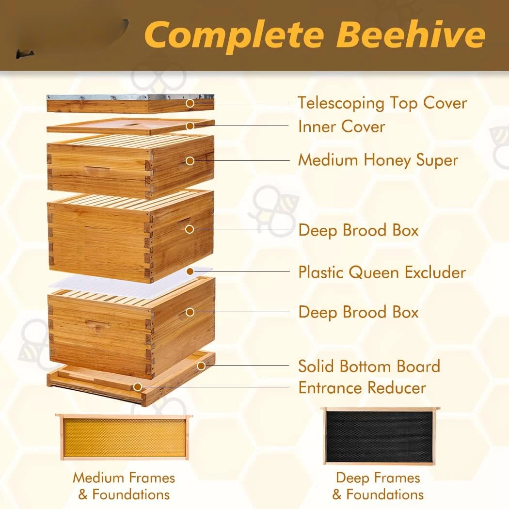 10-Frame Langstroth Beehive Dipped in 100% Beeswax, Complete Bee Hives and Supplies Starter Kit Includes 2 Deep Hive Bee Box