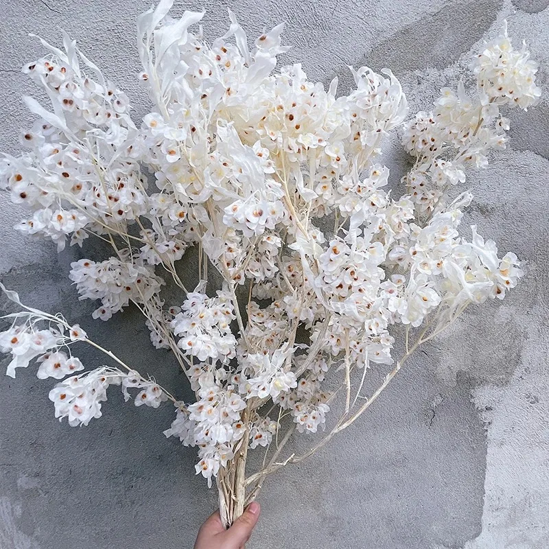 Natural Butterfly Orchid Dried Flower, Decorative Dry Preserved White Grass Bouquet, Rustic Home Decor, Wedding Accessories, 80g