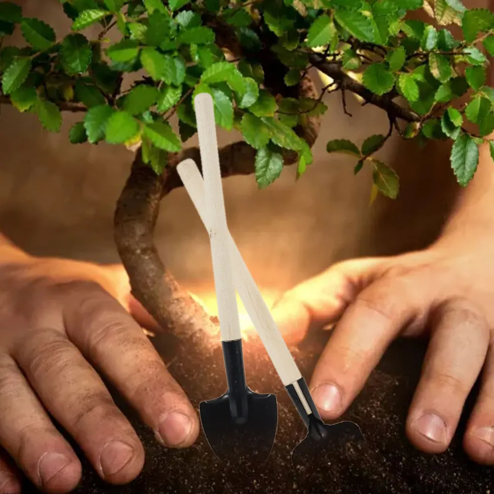 أدوات النباتات النضرة أدوات يدوية للحديقة الصغيرة زرع في الهواء الطلق مجموعة أدوات البستنة بونساي زراعة مصغرة عصارية #5