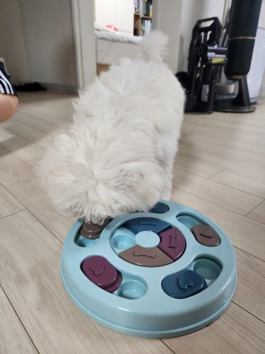 실물 포토 리뷰