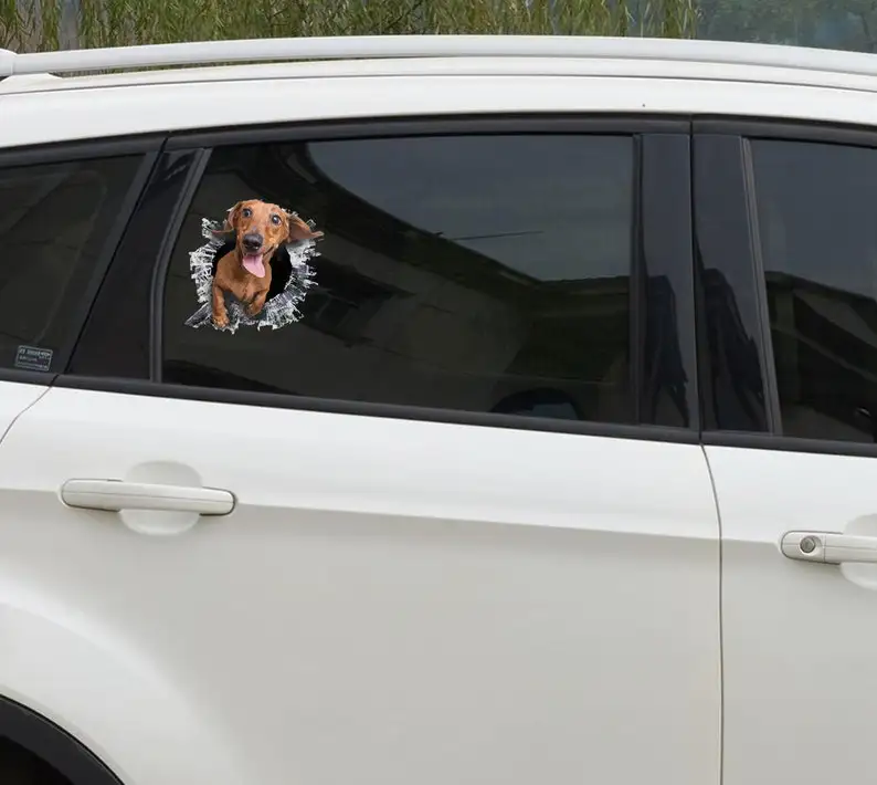 Tan Dachshund window decal, Dachshund car sticker, Tan Dachshund car decal