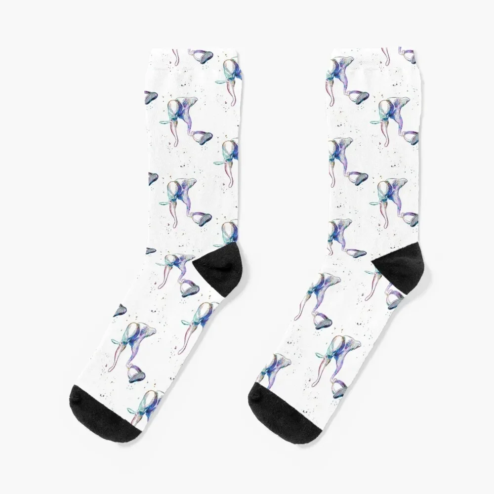 Middle Ear Anatomy Socks Stockings winter thermal Boy Socks Women's