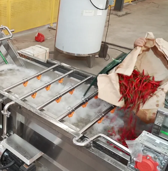 Automatic pepper processing equipment for commercial and industrial use in the production of high-quality chili sauce