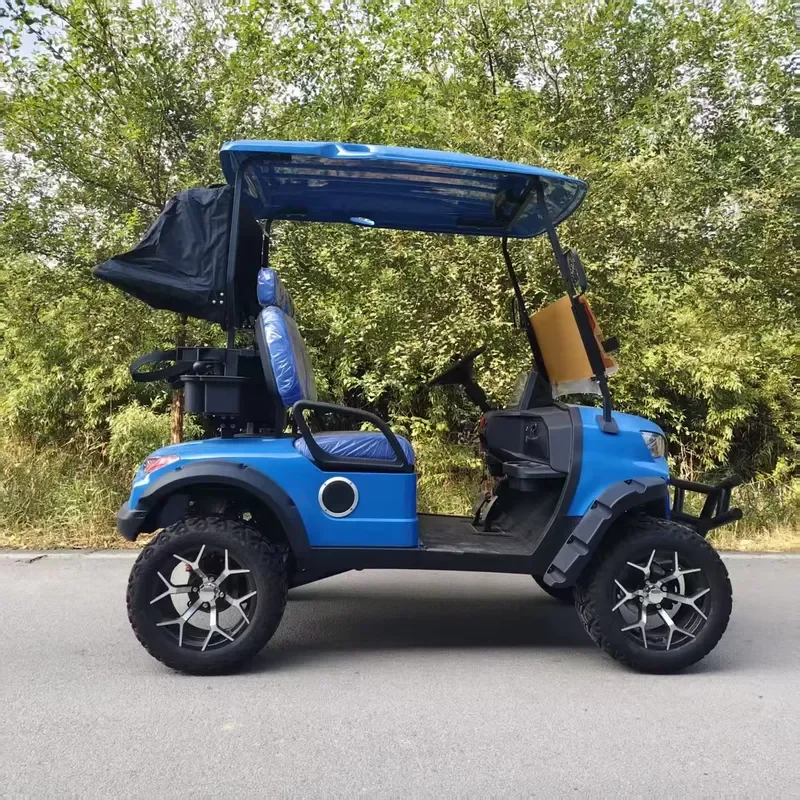 New Design 2 Seater Electric Golf Cart Durable Metal Body 60V Battery Multiple Seat Options for Sale