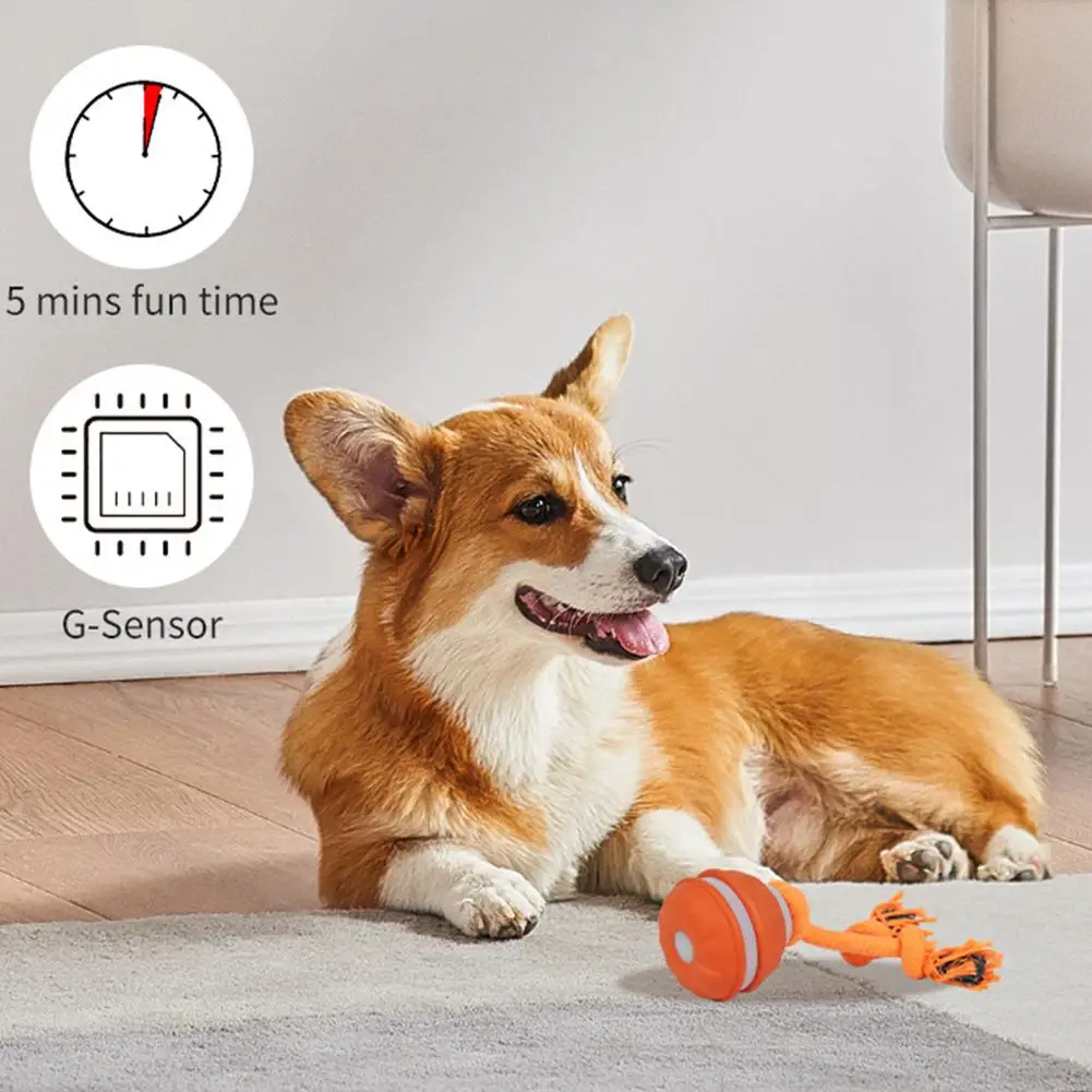 Interactive Dog Toy Ball with Rope Electronic Motion Activated Rolling Ball for Indoor Cat Dog Play Toys for Puppy Training Ball view 6