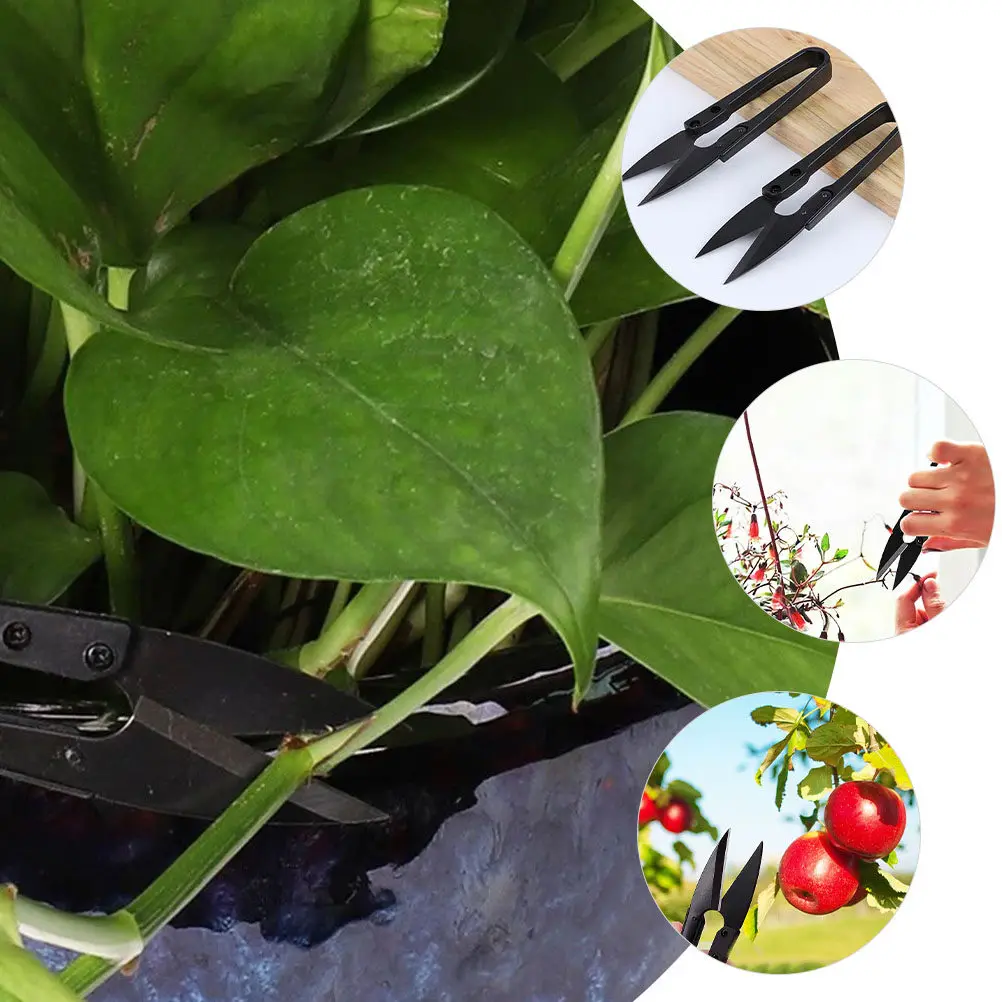 

Набор из 12 профессиональных садовых ножниц для бонсай: плавное срезание, компактный дизайн, идеально подходят для маленьких и больших рук