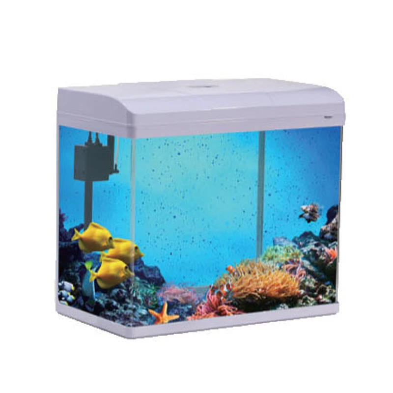 Wholesale Home Office Bar Counter Decorated Fish Tank Glass Custom Betta Decoration Fancy Ornamental Aquarium Fish Tank