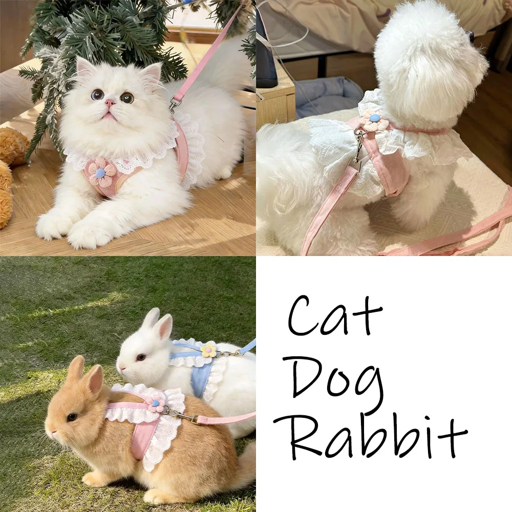 Thumbnail 4 - #55 Best Puppy Harnesses to Buy In 2026