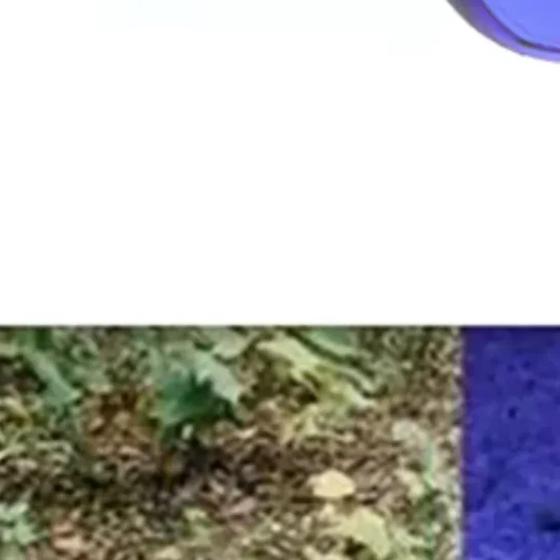 Golf Ball Finding Glasses Sports Sunglasses Fit for Running Golf Driving