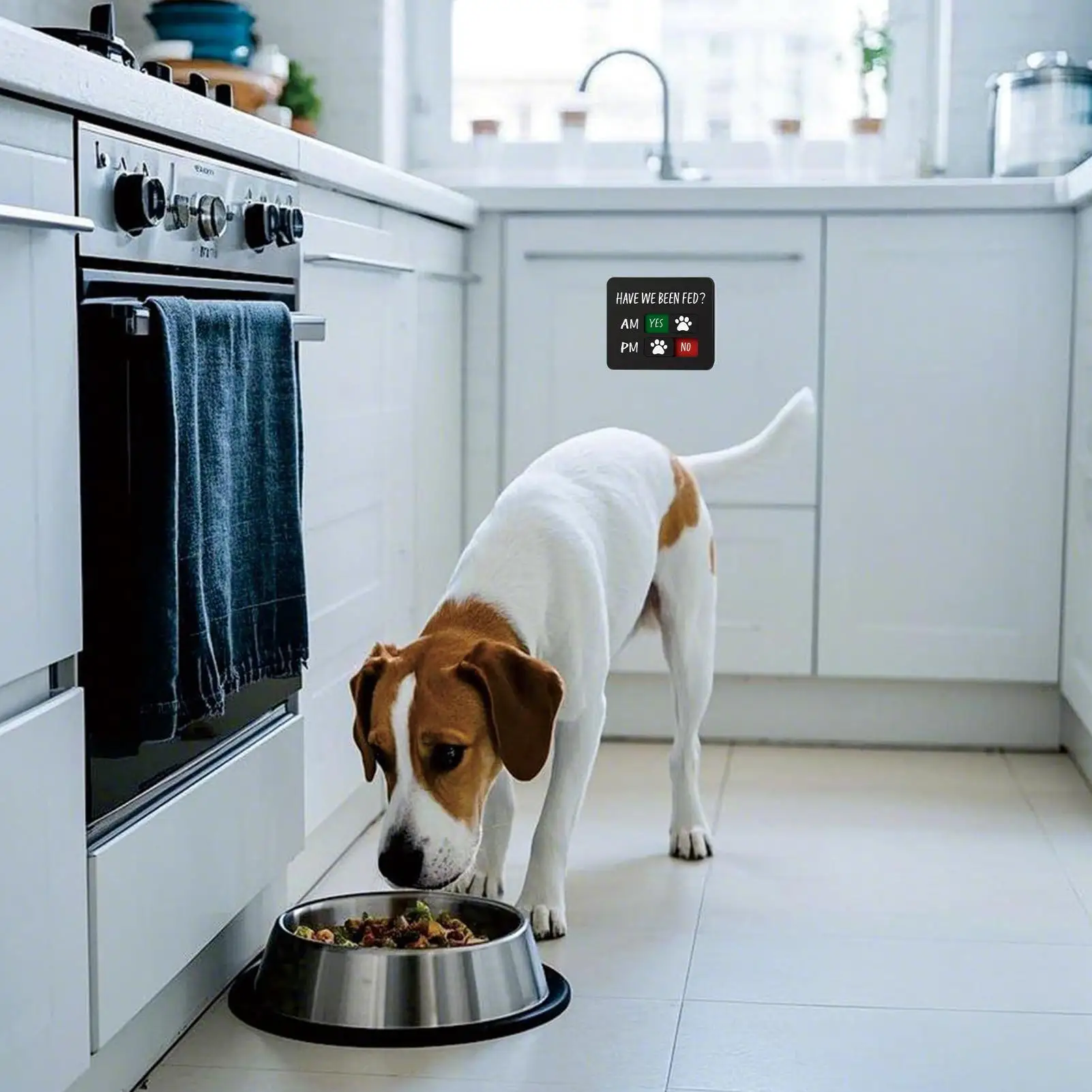 Dog Has Been Fed Sign Magnetic Prevent Overfeeding Chart 2-Meals Cat Feed Indication Charts for Food Home Apartment Kitchen Door