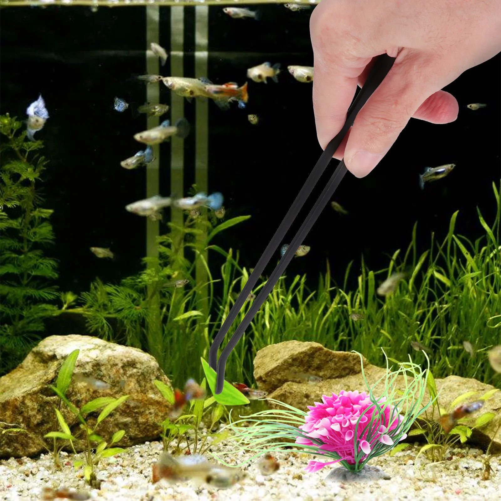 

4pcs Aquarium Tweezers Pipette Dropper Kit Fish Tank Cleaning Tools Water Changer Set For Waste Remover Coral Feeder Tube