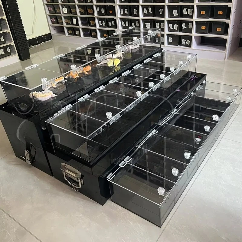 Hot Sale 3-Row PVC/Acrylic Snake Display Stand with Lock 80x15x10cm for Reptile & Amphibian Exhibition