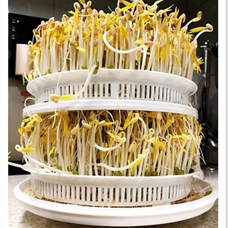 Multifunctional Electric Bean Sprouts Machine, 2 Colors, 2 Layers, 3 Layers, DIY, Cultivation, 220V