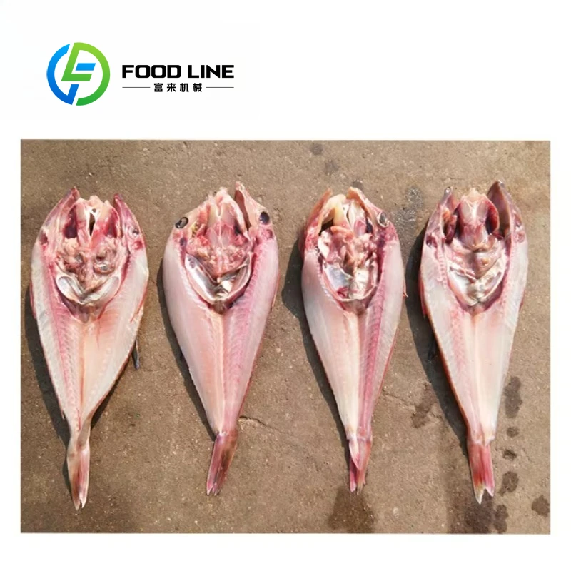 FCM 228 Customized Full-automatic Fish Fillet Machine 2-in-1 Non-manual Fish Cutter for Commercial Seafood Processing