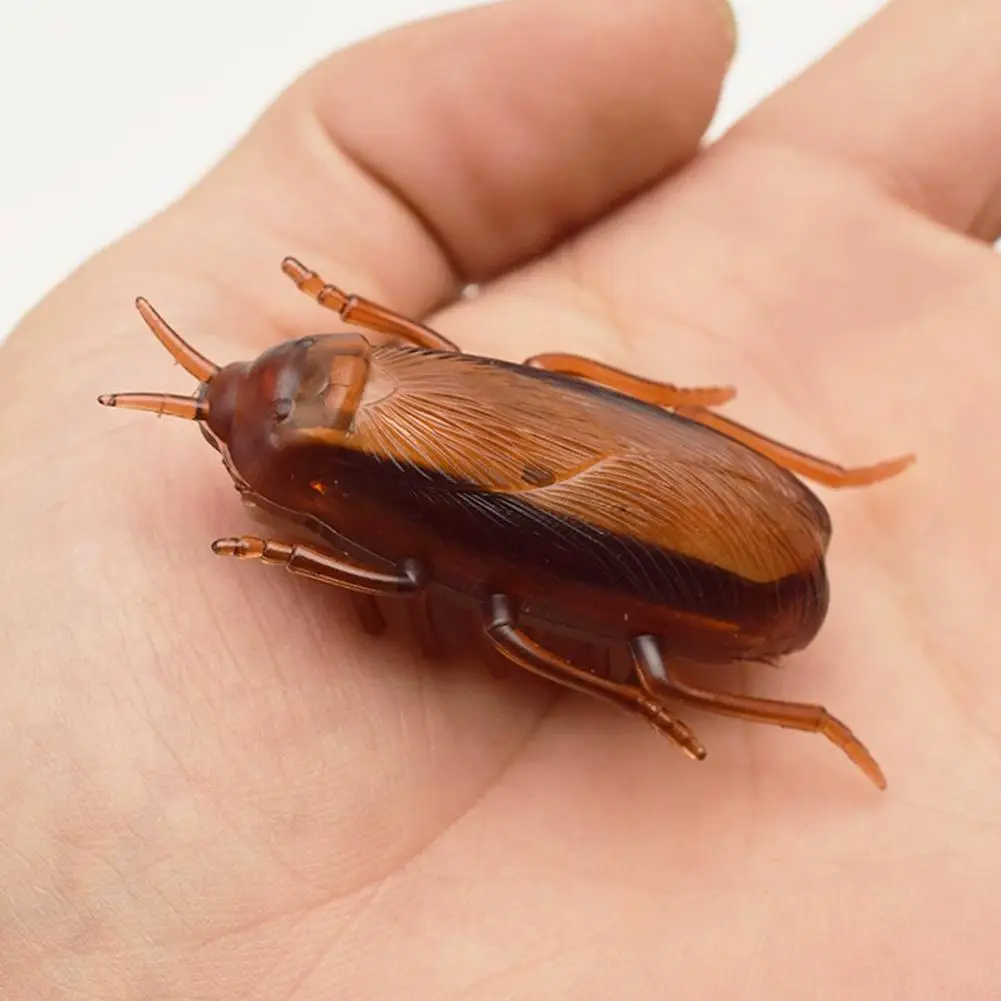 Realistic Fake Cockroach Prank Toy Lifelike Design High Quality Material Funny Gag Gift for Parties Pranks Tool
