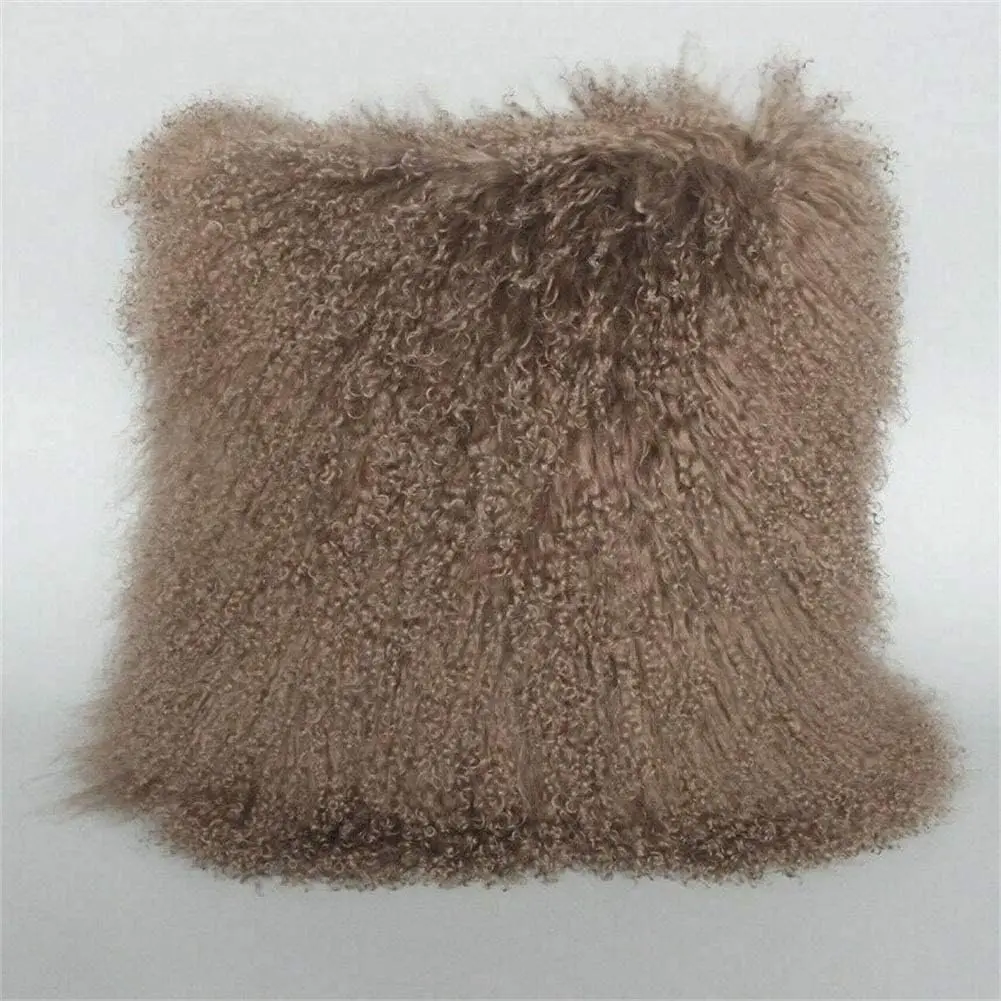 

Lamb Fur Throw Pillow Cover Real Fur Sheepskin Throw Square Cushion Fluffy Curly Wool Soft for Living Rooms 20X20in