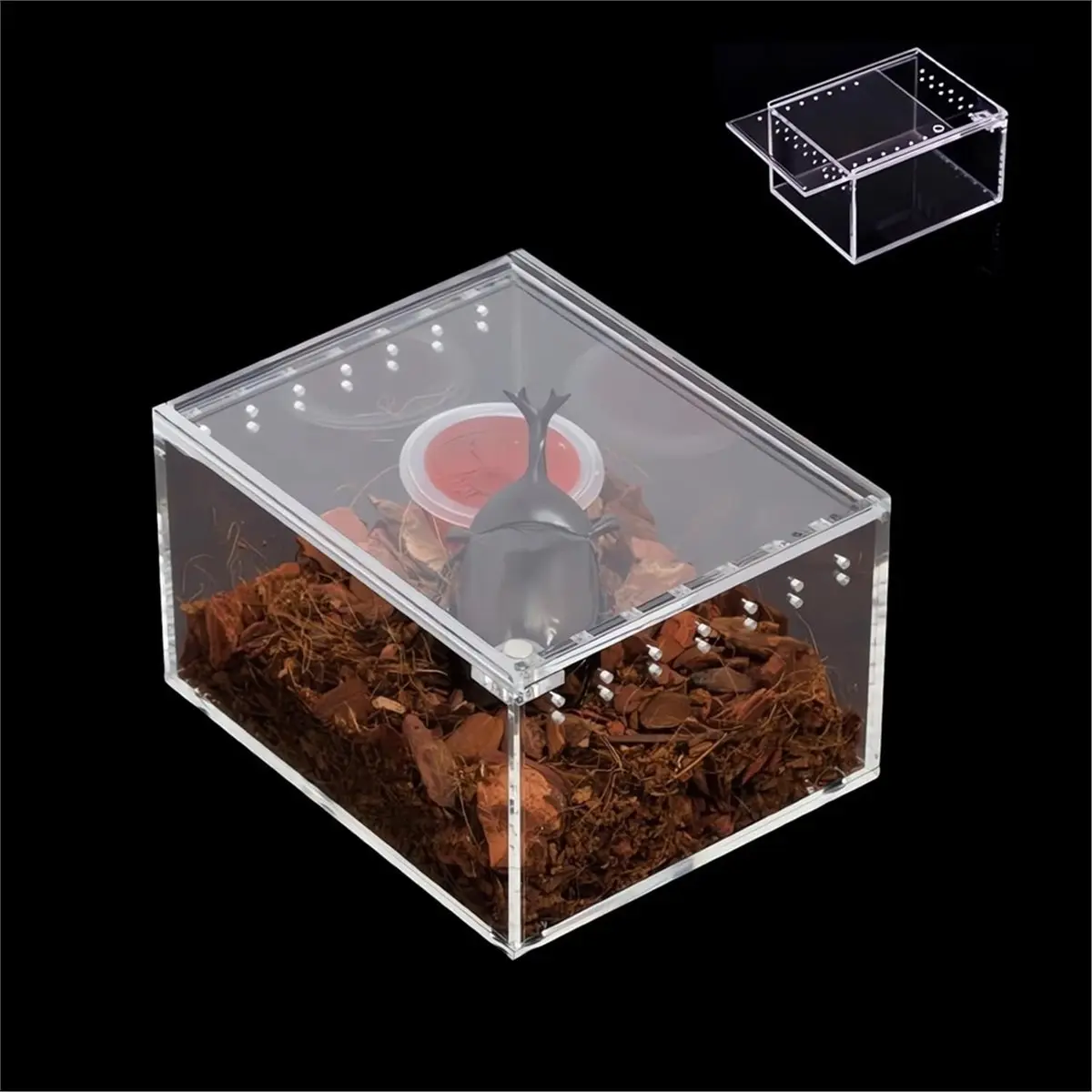 2026 New Tool Insect Breeding Box Reptile Feeding Box, Waterproof Enclosure Enclosure for Arboreal Tarantula Sling Lizards