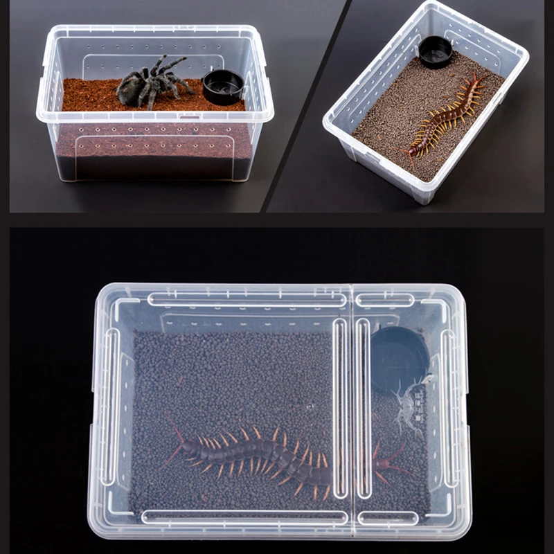 1pc Plastic Reptile Living Box Terrarium Transparent Reptiles Insect Container Transport Amphibians Breeding Food Feeding Box