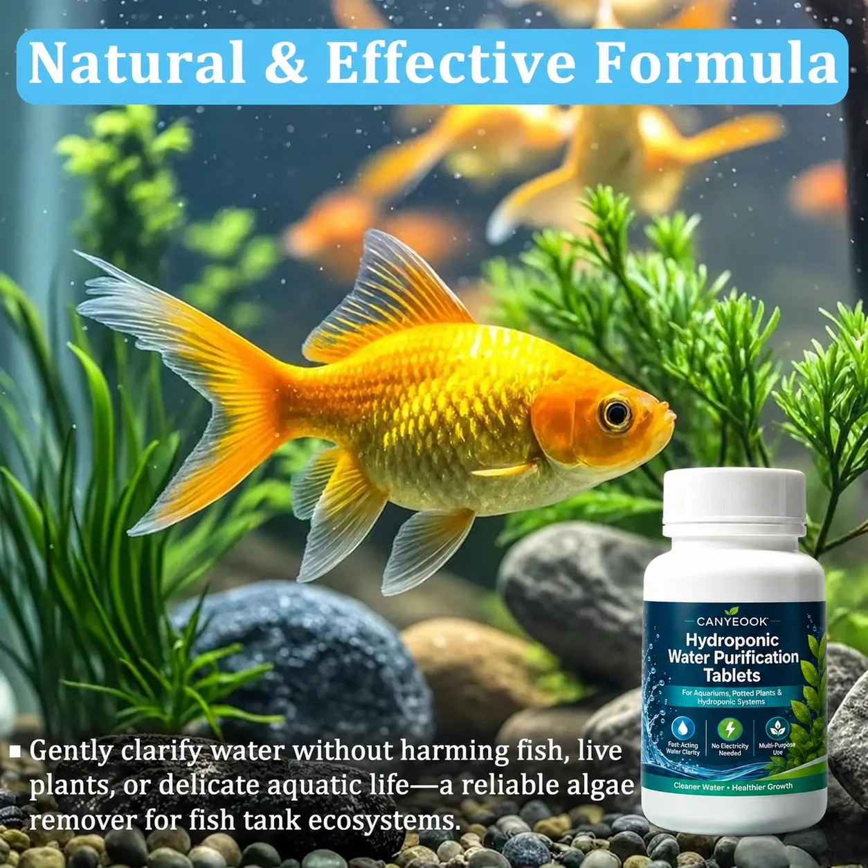 Comprimés purificateurs d'eau - Aquarium Fish Tank Cleaner avis et prix