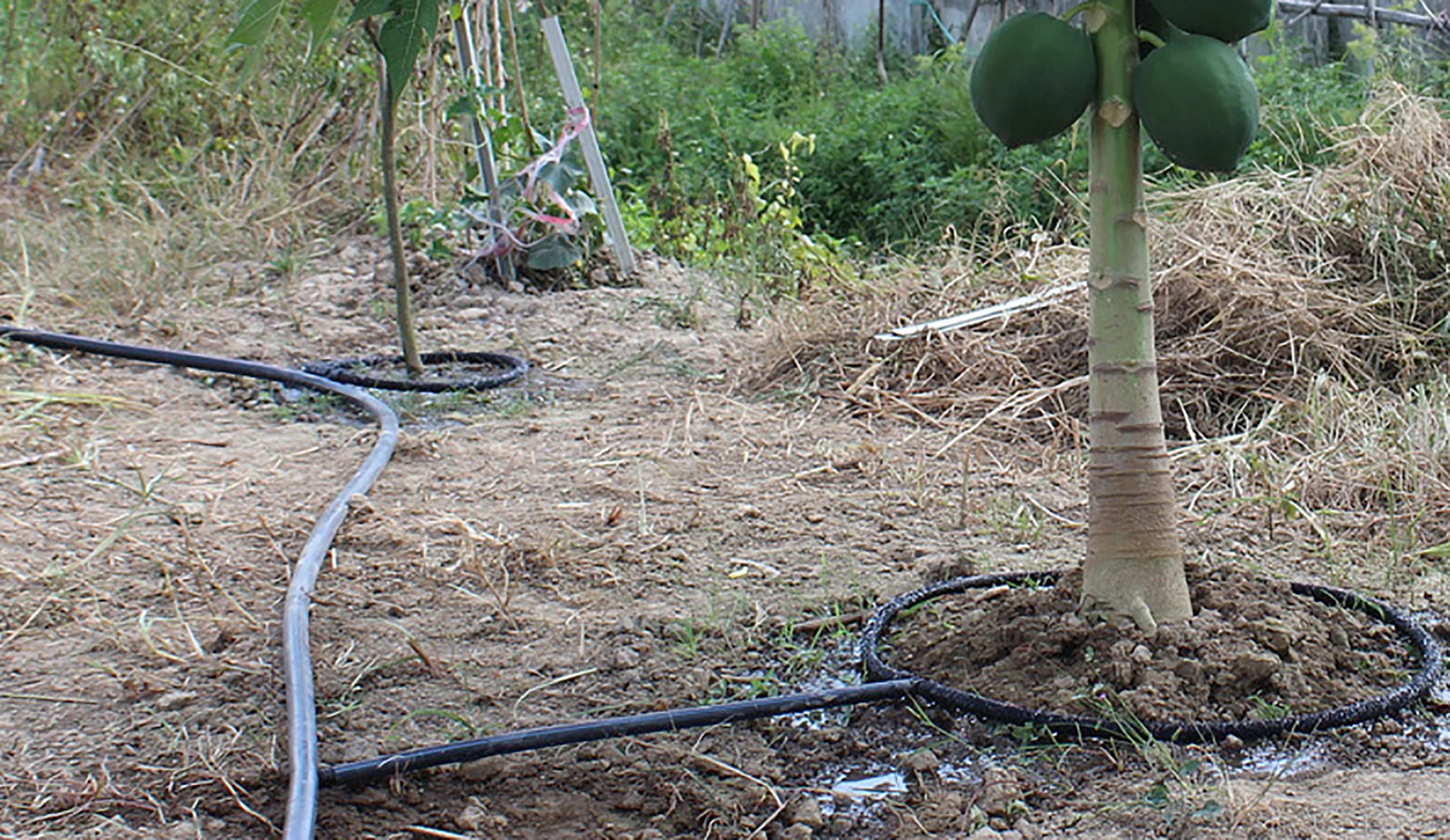 5/10m 16mm wąż Soaker rura kroplująca ogród Farm podlewanie rury rośliny owoce drzewo przepuszczalne wyciek rury