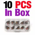 10pcs in box