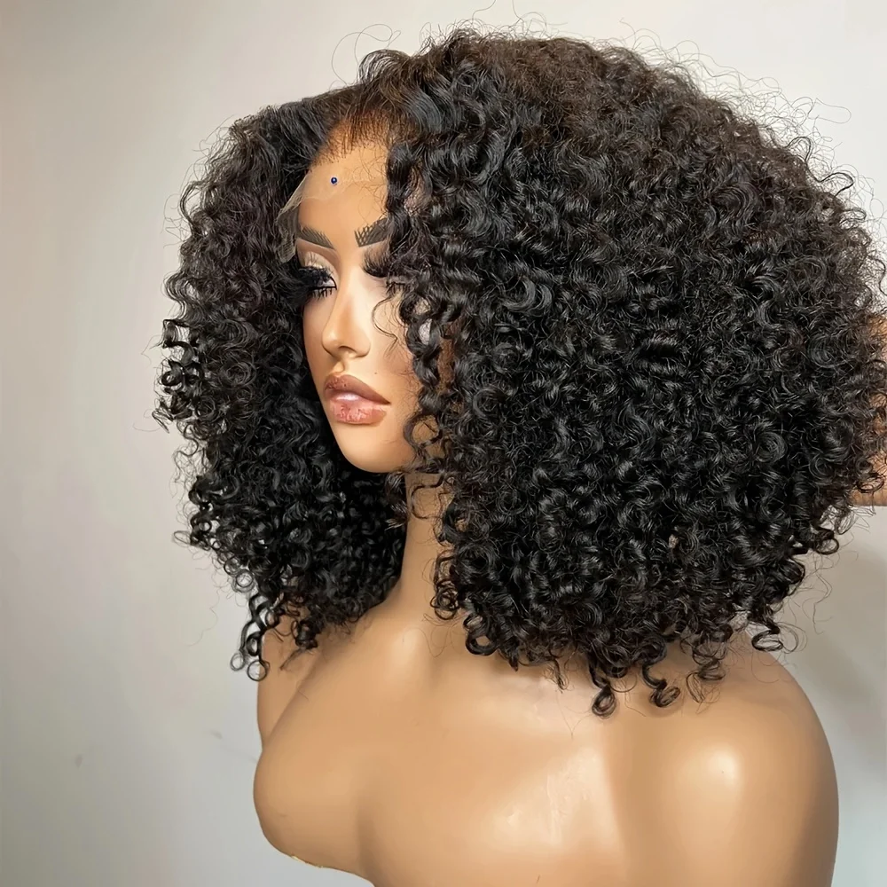 

Мягкие 180 Плотность 26 дюймов Натуральные Черные Кудрявые Вьющиеся Бесплатная Часть 13x4 Парики Фронта Шнурка Для Женщин С Волосами Бесклеевые Хорошая Текстура