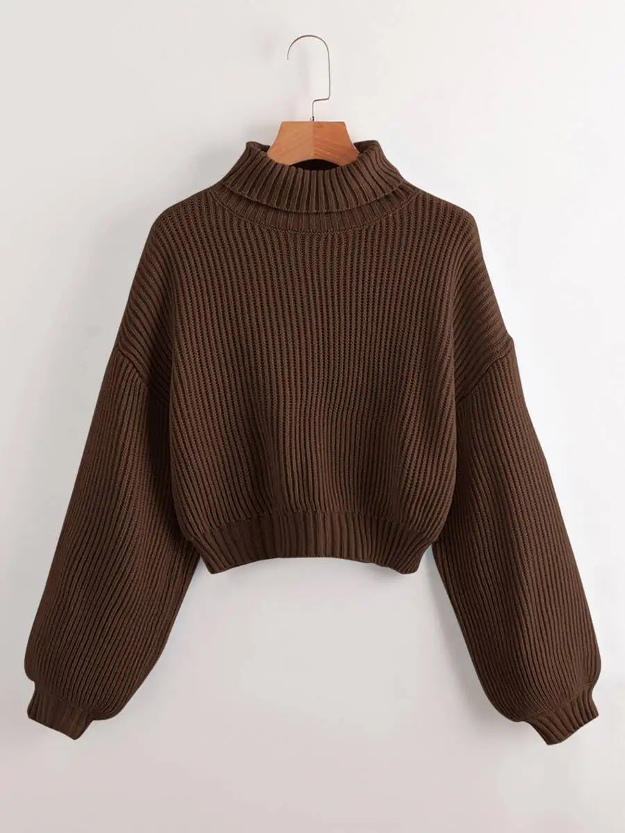 

Brown Ribbed Turtleneck Cropped Sweater with Balloon Sleeves
