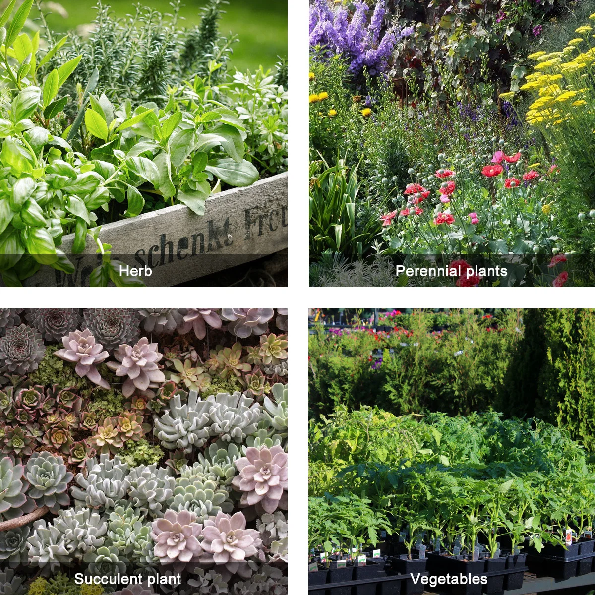 

2 шт., мешок для посадки, фетровый тонкий прочный мешок для выращивания трав, овощей, для дома, на открытом воздухе, сада, двора, балкона, патио, дышащий садоводство