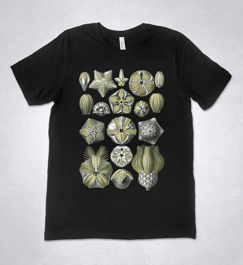 

Ernst Haeckel Blastoidea Art Forms Shirt