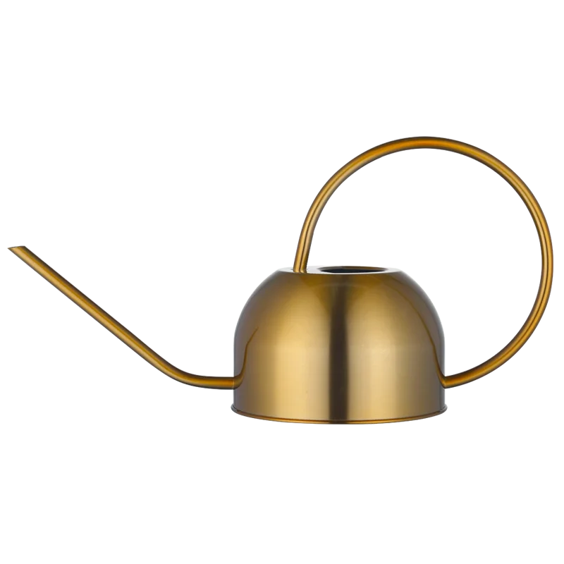 

Decorative Gold Colored Stainless Steel Long Spout Watering Can for Indoor/Outdoor Use House Plants