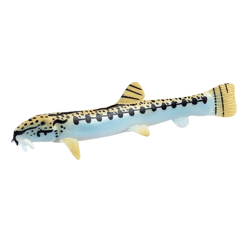 

Marine animal simulation solid model Chinese flower loach Flower loach Children's cognitive plastic toys