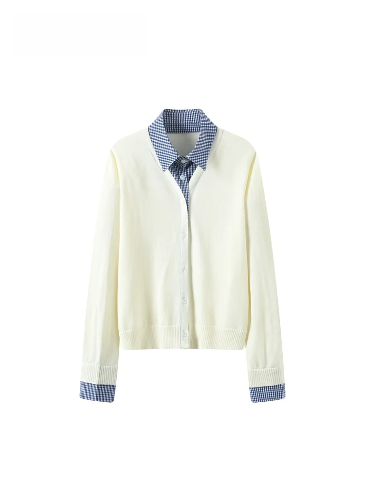 

Женская повседневная кофта Cara CLUB больших размеров с длинным рукавом, свободного кроя, скрывающая недостатки фигуры, весенняя, вязаная, из полиэстера, во французском стиле