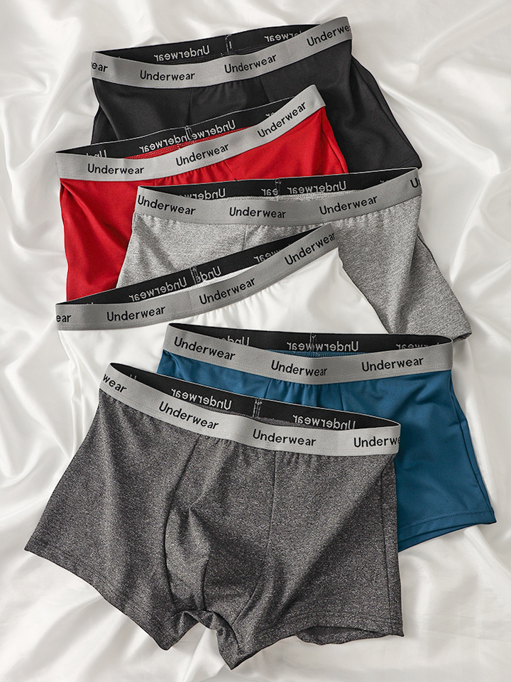  Men's 6-Pack Polyester Boxer Briefs - "Underwear" Logo Waistband, Assorted Black, Red, Gray, White & Blue Underwear Set 