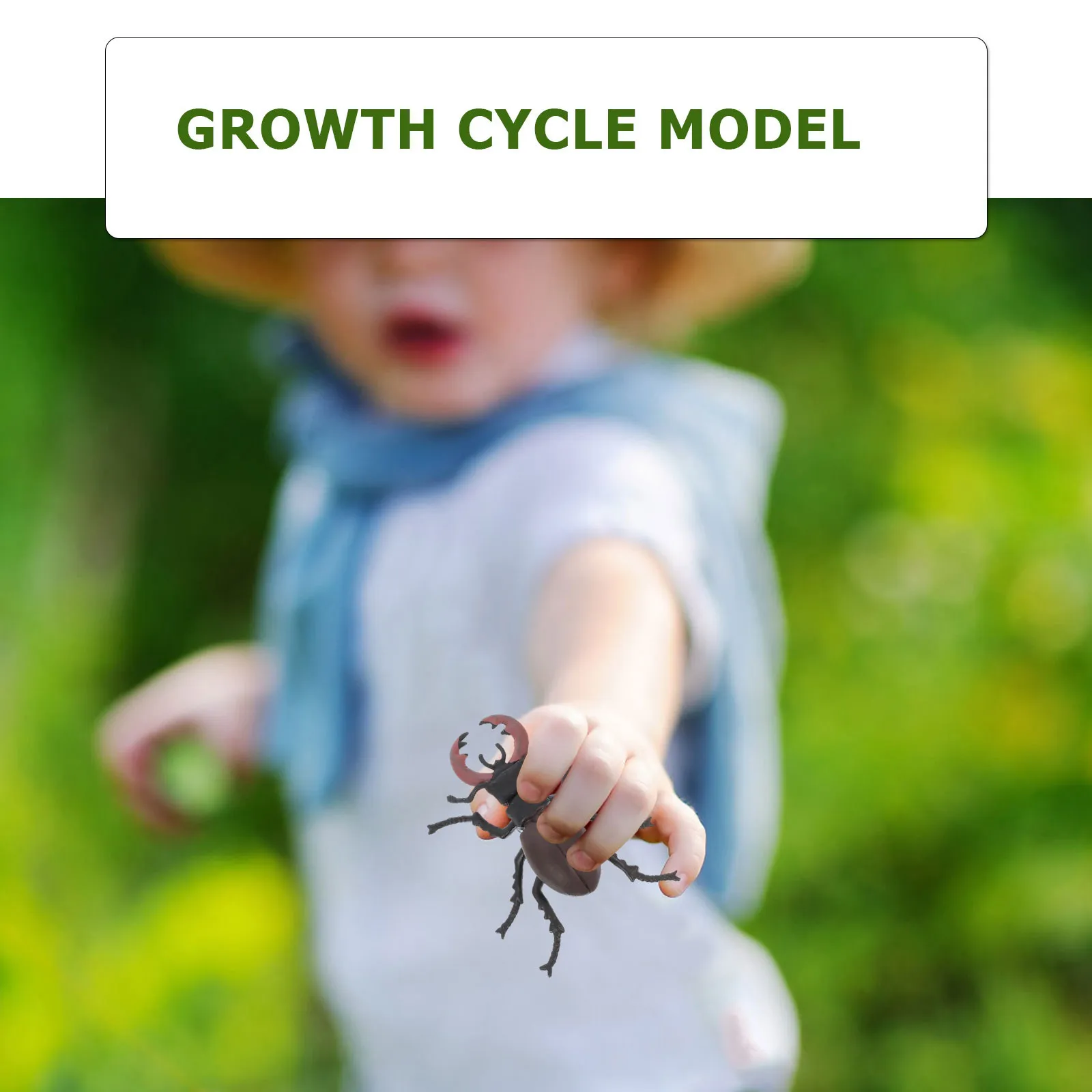 1Set Lifelike Insec…