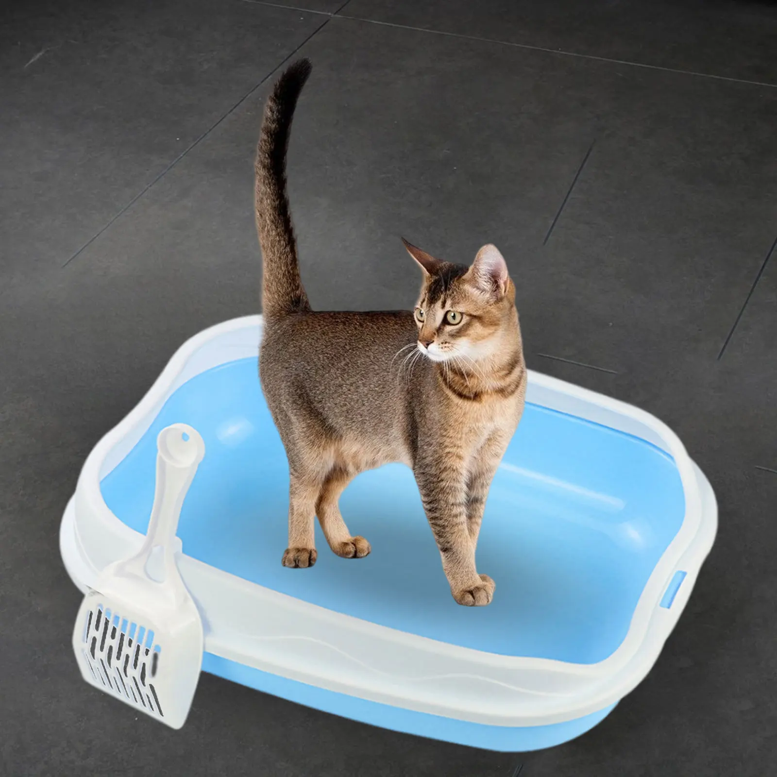 Cat Litter Box Semi Closed Cat Sandbox Cat Sand Basin for All Kinds of Cat Litter Pet Litter Tray Litter Pan Cat Litter Toilet