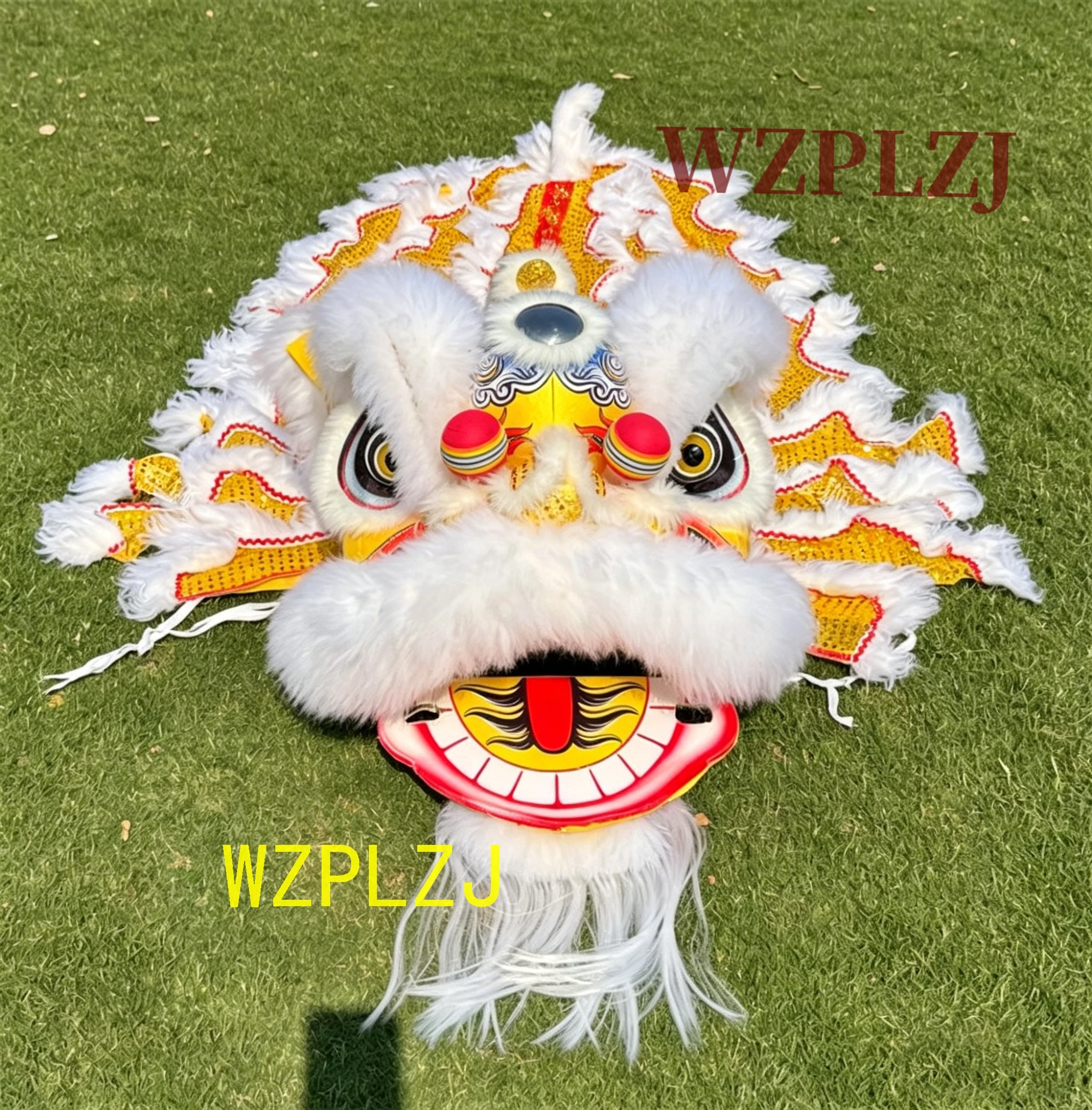 Roral Events B​link Lion Dance WOOL Fur Costume 10-15 Age Boy Girl Child Decor Party Performance  Carnival Stage Game Spring
