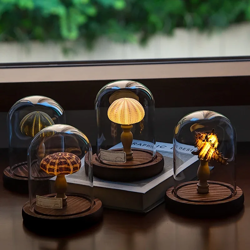 DIY handmade birthday gift girls give boys antique sea urchin lamp conch night light decorative ornament