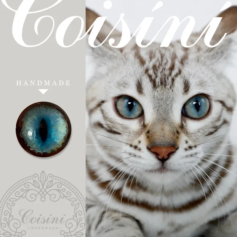 

5 pairs Original/wool Felt/handmade/cat Simulation Glass Eyes