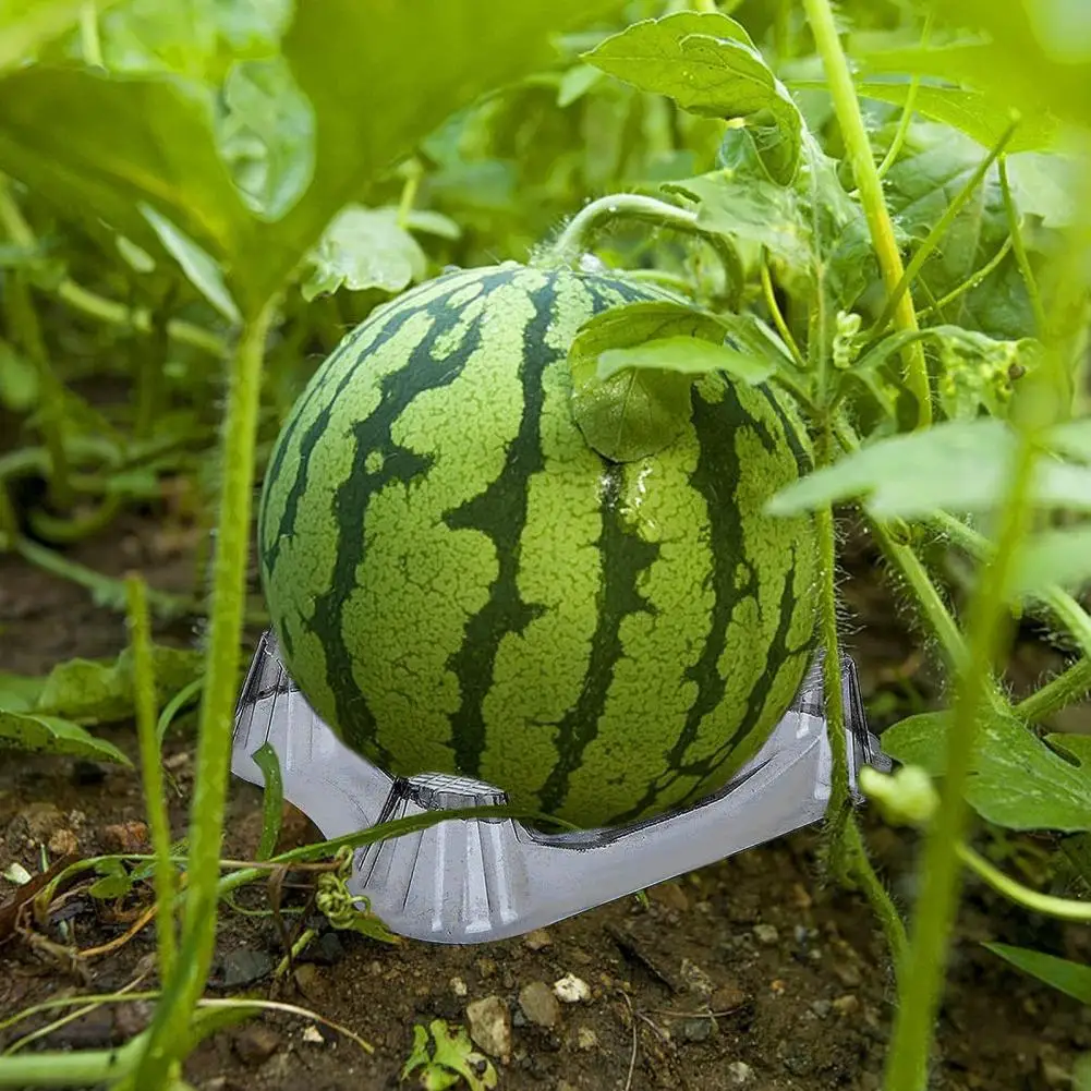 Watermelon Holder Stackable Melon Cradle Support Stand for Cantaloupe Watermelon Reusable Fruit Protection Rack Cage for Garden