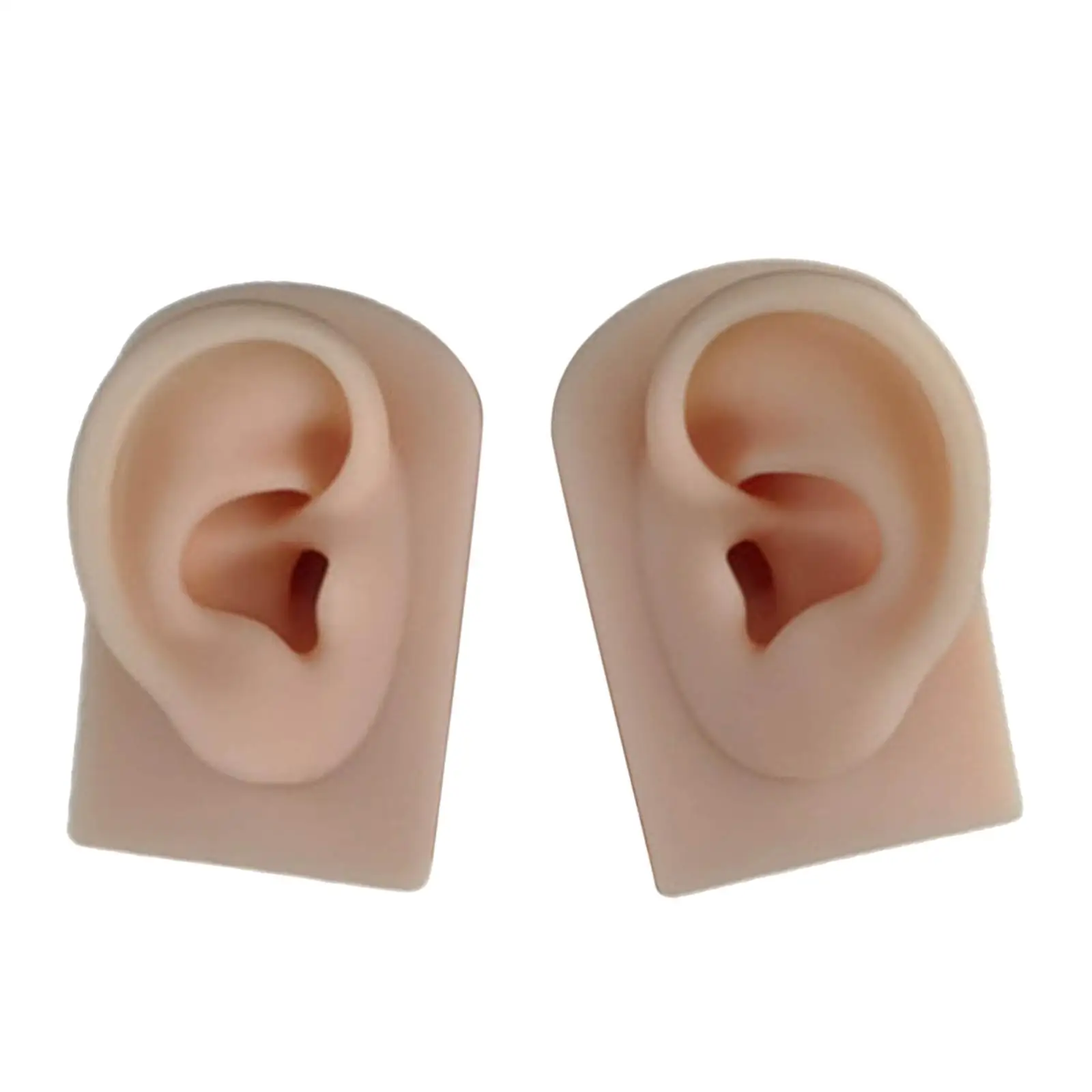 2x Simulation Silic Ear Model for Headset Display Props Acupuncture